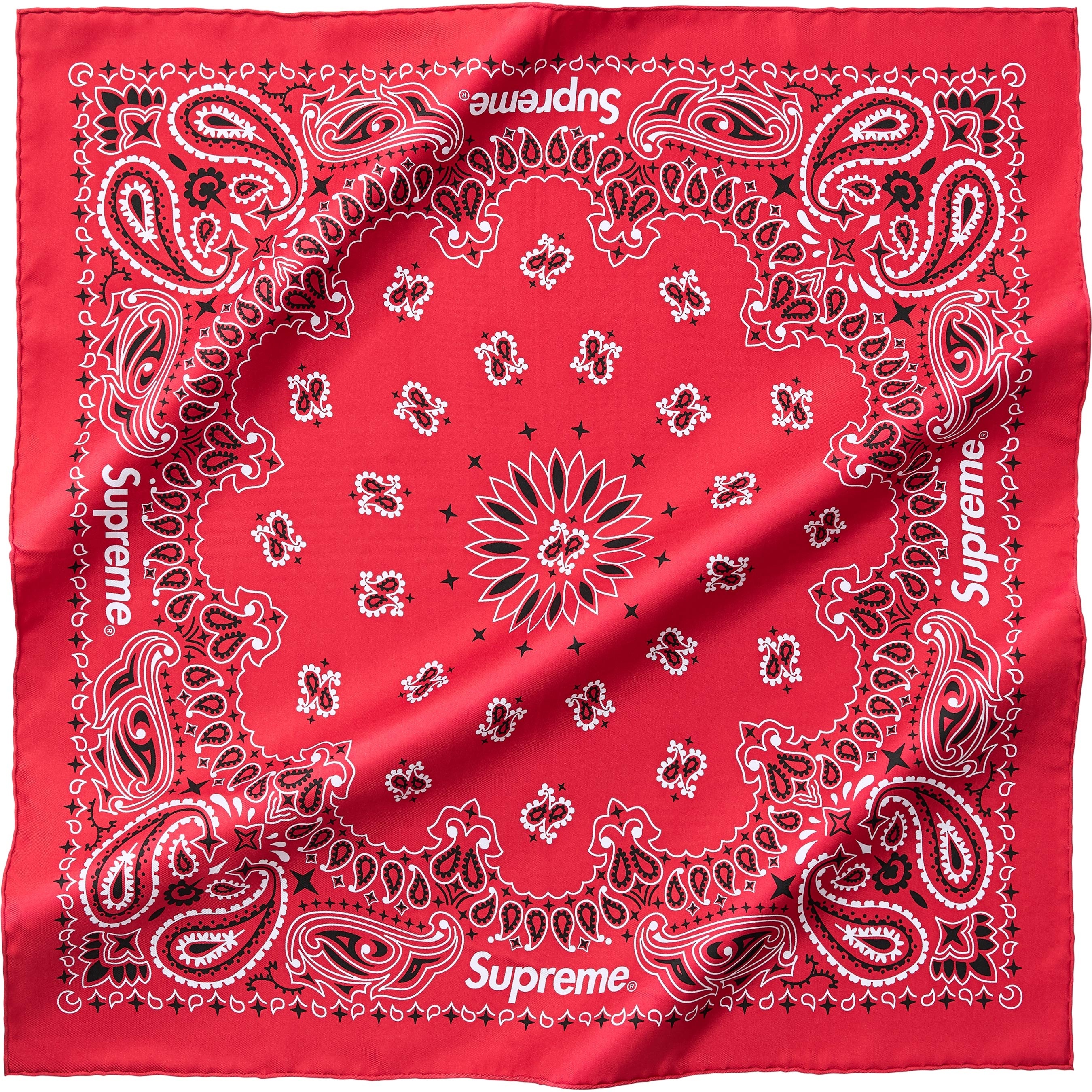 Silk Bandana view 3